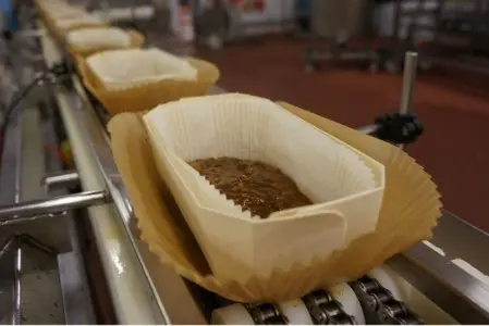 Planes Generales de Higiene