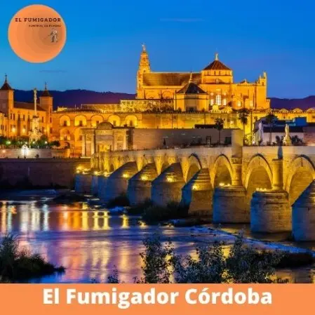 Control de Plagas Cordoba