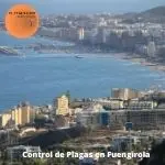 Control de plagas Fuengirola