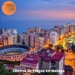 Control de plagas malaga