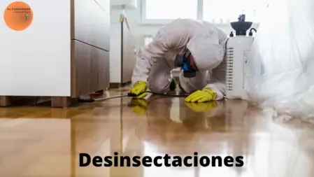 Fumigación de acaros